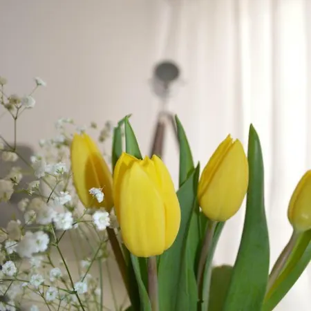 Serenity - One Bedroom Flat Apartment
